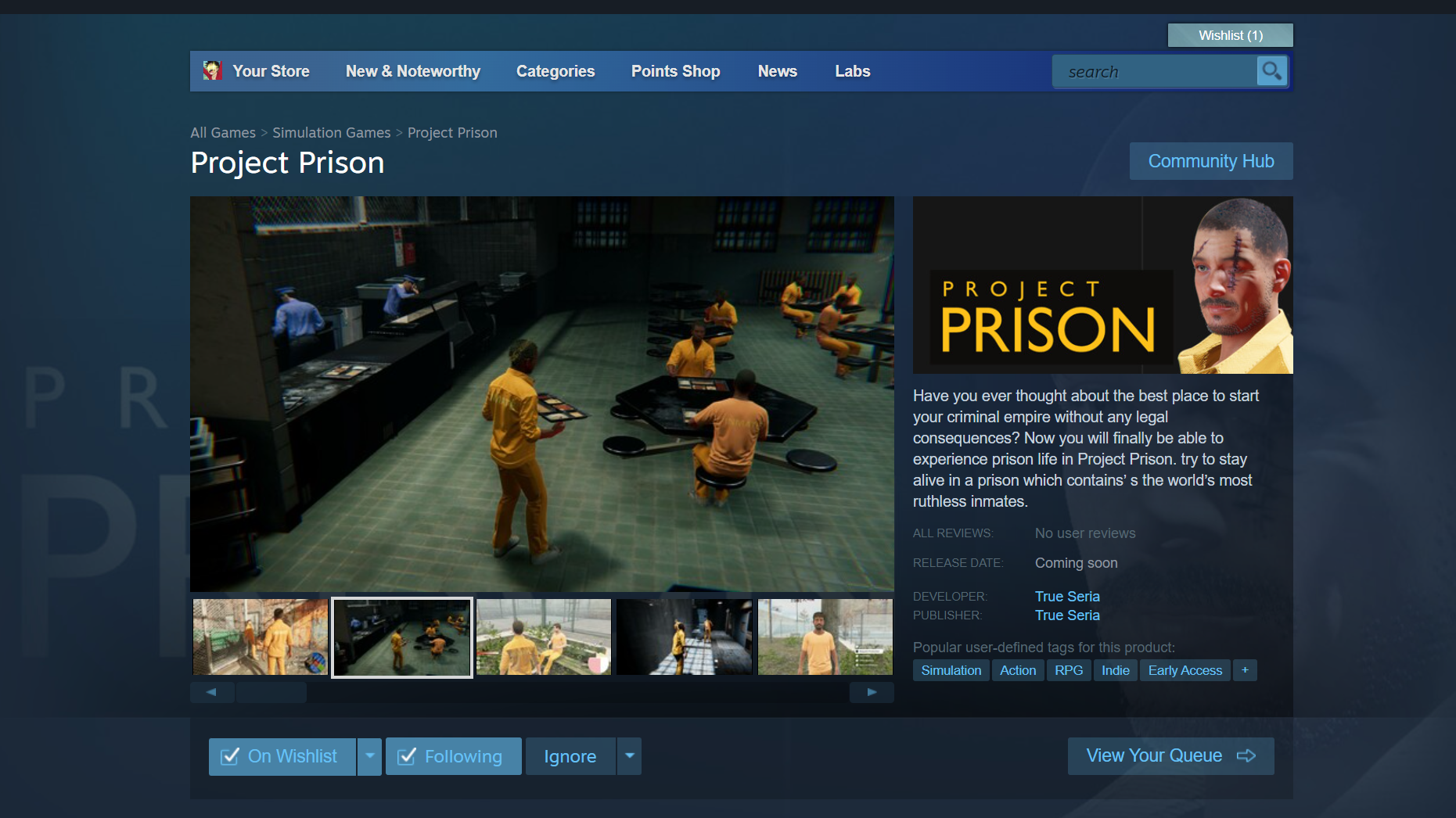 Game Testing "Project Prison"
